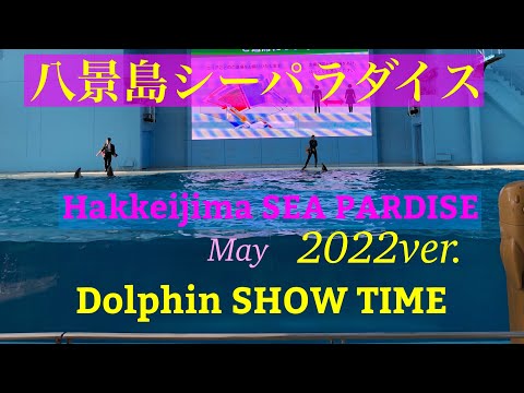 【Hakkeijima SEA  PARADISE】八景島シーパラダイスのイルカショーが変わりました