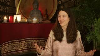 Relating to our environment as meditators