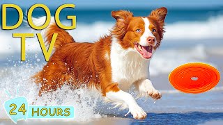 DOG TV: Videos Entertain & Engag to Keep Dogs Happy While Home Alone - Best Collection Music for Dog