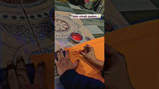 Shree mati tulsi ji ka vivah #religion #tulsipuja #bhakti #kartikmass #radheradhe #ytshorts