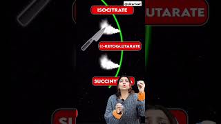 Kreb cycle trick #krebscycle #neettricks #neet2025strategy #neet2025 #biologytrick