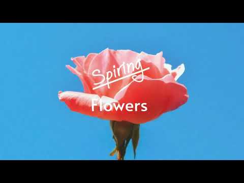 Spiring - Flowers [Royalty Free Summer Tropical House Music]