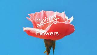 Spiring - Flowers [Royalty Free Summer Tropical House Music]