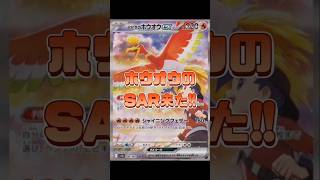 【ポケカ】新弾情報!!熱風のアリーナ ホウオウのSAR来た!!　#ポケモンカード#ポケカ#熱風のアリーナ#pokemontcg#pokemoncards#shorts