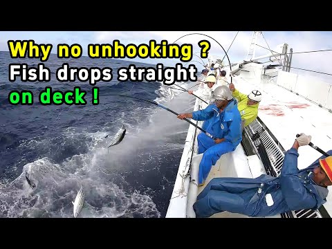 No need to unhook: The secret to fishing tuna at lightning speed!