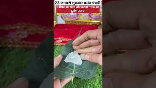 23 जनवरी शुक्रवार बसंत पंचमी | पीपल के पत्ते पर जला नमक का महा उपाय Pradeep Mishra Ji Upay#shivupay