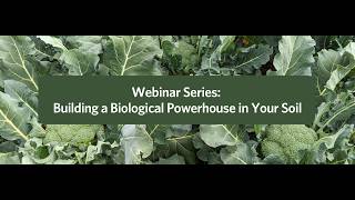 Compost Webinar Series Part 2: Infusing Your Soil and Plants with Beneficial Microbes