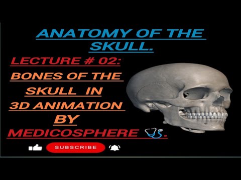 LECTURE # 02: BONES OF THE SKULL BY MEDICOSPHERE 🩺./ANATOMY OF THE SKULL. #anatomy#3d#medicosphere. 