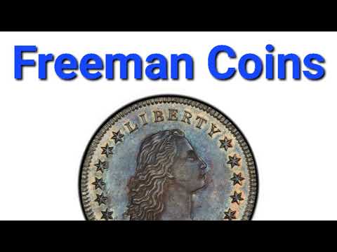 Sasha Freeman Live Stream