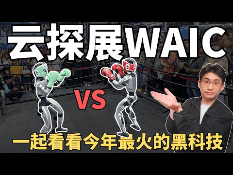 在2025WAIC的现场，我看见了10年后的世界