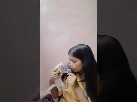 Day 01/100 – Python List Slicing Explained 🔥 Learn AI & Python step by step! #100DaysOfAI