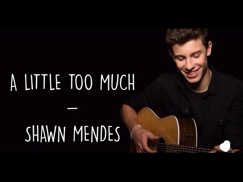 A Little Too Much - Shawn Mendes (Lyrics)