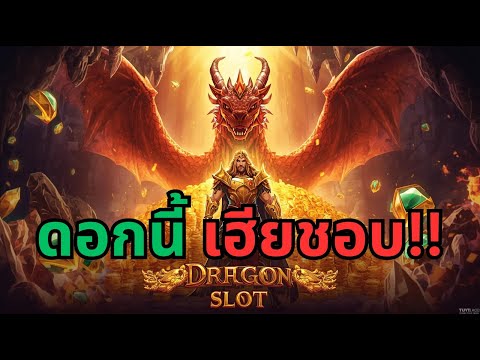 นี่แค่ * 25 เองนะ Dragon's Treasure Quest สล็อตล่าสุด สล็อตพีจี Day 2