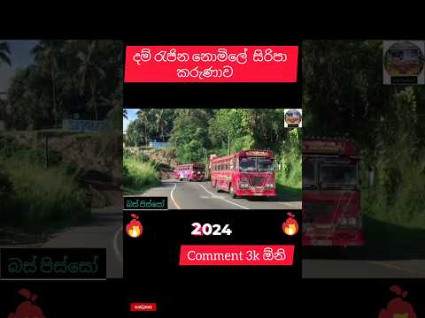 3k comment oni #bus #busdjnonstop #dj #busdj #srilanka #slbusfans #shorts #buspisso