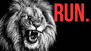 Why You Should Be Terrified of African Lions