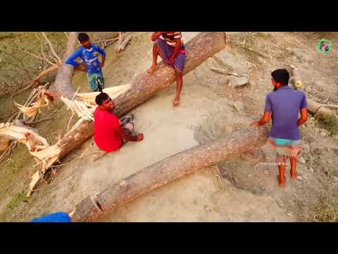 #চাচার হাতে বড় লাঠি # কাম টু বাংলাদেশ
