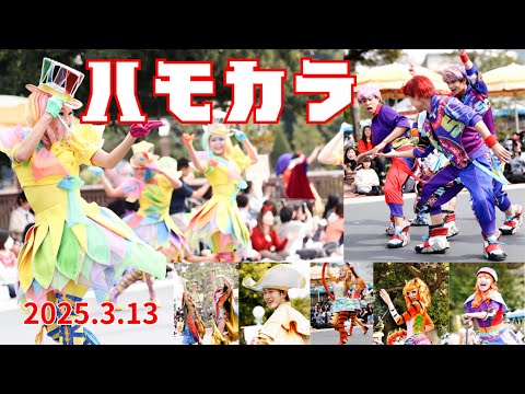 【最前列】ダンサーさんのみ！ハーモニーインカラー2025.3月東京ディズニーランドのハモカラ