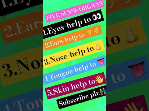 🦚🌼🐇FIVE SENSE ORGANS #shortsvide
