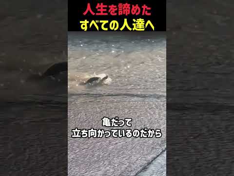 人生を諦めたすべての人たちへ