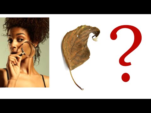 What is Dry Skin and its causes -Tips for Natural Solutions