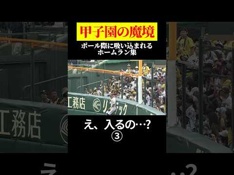 ③「コレ入るの…?」甲子園の魔境ポール際HR集