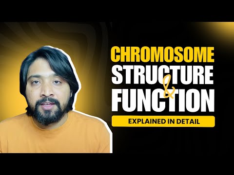 Chromosomes Decoded: Structure and Function Explained In Detail