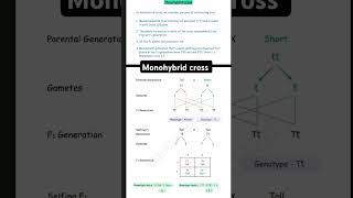 monohybrid cross | heredity class 10 th || class 12 notes || 2024-25 #monohybridcross #shorts ✅👍🏻