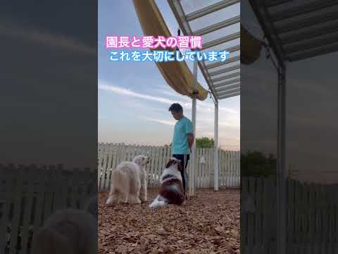 ※説明欄見てね！【園長と愛犬の習慣を伝授、やってみてね♪】