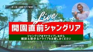 オープン直前のJUNGLIA（ジャングリア）に行ってみる！今はどんな感じなのか見に行ってみるドライブ&散歩&雑談ライブ配信 ~のぶ沖縄情報チャンネル