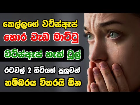 වට්ස්ඇප් Hack ටූල් ඒකක්  2025 ‍| how to hack WhatsApp number #hack #hacking