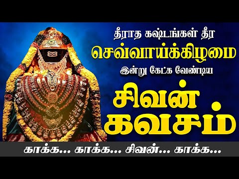 🔴 LIVE SONGS | செவ்வாய்க்கிழமை அன்று கேட்க வேண்டிய சிவன் கவசம் - தமிழில் | Sivan Kavasam Tamil