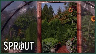 Secrets of a Thriving Organic Garden - Tips for Abundant Flowers & Wildlife