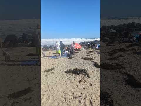el tabo - playa 9 de marzo