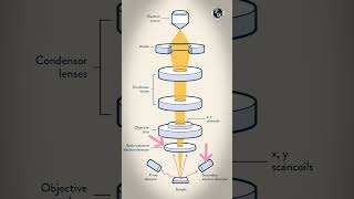 Corona virus ko kaise dekha: SEM #Shorts #GATEWallah
