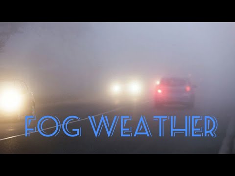 Fog Weather||Low Visibility||Drive Safely|| Mobi's world|| #fogweather #lowvisibility #kuwaitfog