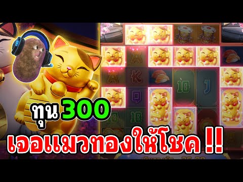 Lucky Neko : สล็อตPG สล็อตลัคกี้เนโกะ สล็อตทุนน้อย แมวทองมาเต็ม !!