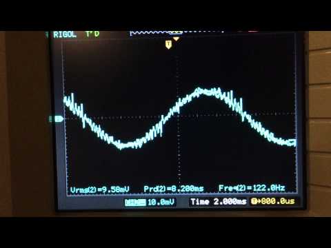 IMG 0079