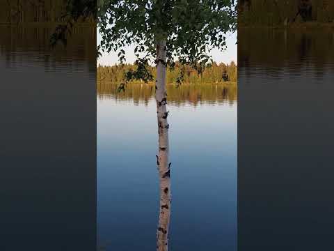 Beautiful peaceful river