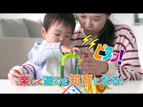 ピタゴラスどうぶつえん紹介動画2023年ver