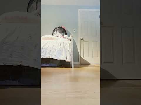 #loop