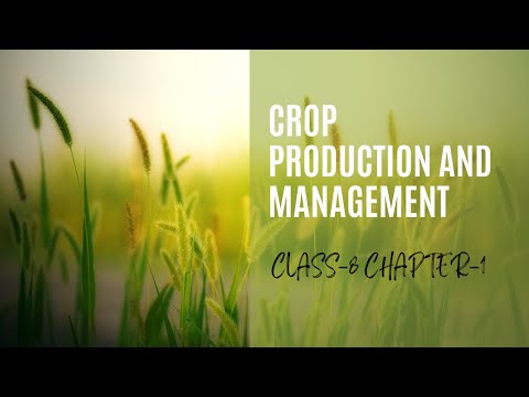 CLASS 8th NCERT | CHAPTER 1 | CROP PRODUCTION AND MANAGEMENT | PART 1 | CTET_SCIENCE