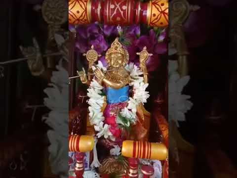 Jhulan Yatra 2024/ Jai Sree Krishna/ Radhe Radhe