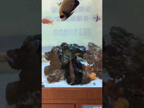 わたなべ糖内科クリニック様　アクアリウム実績
