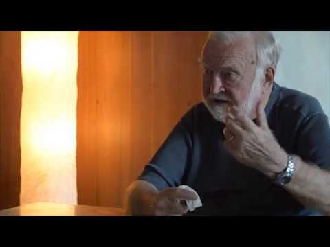 Csikszentmihalyi about the Meaning of Work