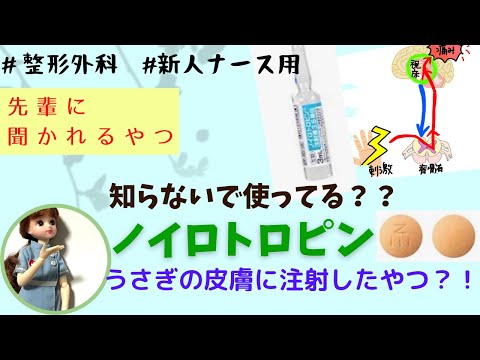 【鎮痛薬③】整形外科ナースならノイロトロピンくらい知ってて当たり前？＃先輩に聞かれる前に学ぶ＃看護師＃勉強