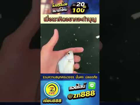 🚩สมัครคลิก » http://bitly.ws/Kg3m 🚩 #เกมสล็อต #โปรทุนน้อยสล็อตpg #20รับ100
