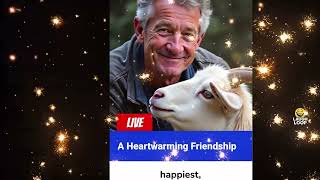 The Two Goats – A Lesson on Pride and Patience || Laughloop 