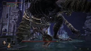 Elden Ring | Siofra River | Boss Battle | Dragonskin Soldier| Melee Build | No Spirit Summon