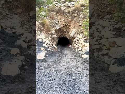 Black diamond in coal mining ⛏️ #blackgoldminig #coalmining #Undargrundminig