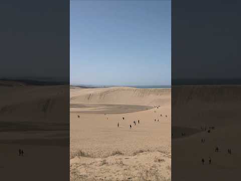 ぼっちが引いて眺める鳥取砂丘編 #散歩 #ぼっち #sanddune